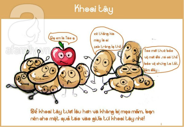 Preventing potatoes from spoiling